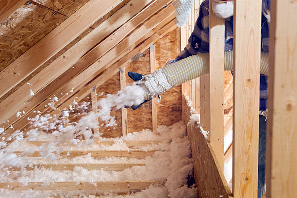 Best Crawl Space Insulation  in Orida City, FL